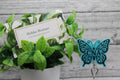 CNA Blue Butterfly Badge Reel