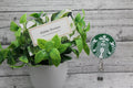 SB Coffee Circle Badge Reel