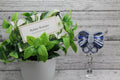 Law Enforcement Bow Badge Reel