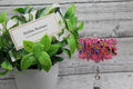 NURSE Colorful Badge Reel