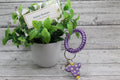 Purple Daisy Cow Sparkle Coil Wristlet Keychain