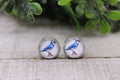 Blue Jay || 12mm Glass Stud Earrings || Hypoallergenic