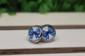 Panthers Football Bow Stud Earrings