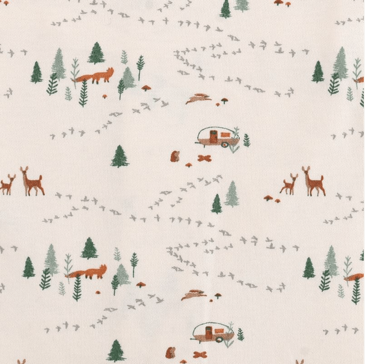 Henley | Into the Woods