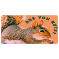 Are You Nuts Funny Squirrel Mousepad and Desk Mat - available in 2 sizes