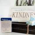 Blueberry Cheesecake Wax Melts